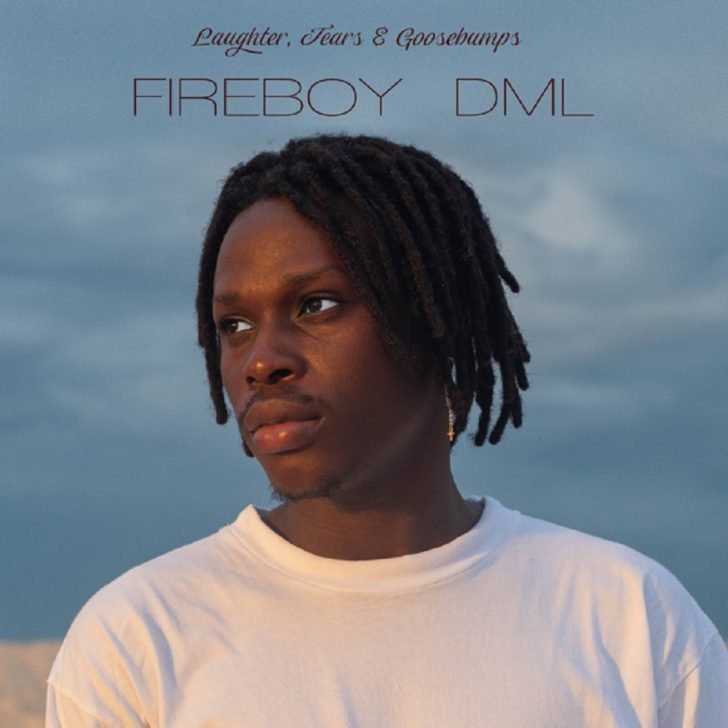 FAST DOWNLOAD: Fireboy DML – Need You
