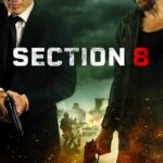 Section 8