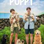 My Heart Puppy (2023) My Heart Puppy