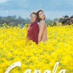 Canola (2016) Canola