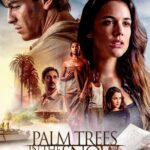 Palm Trees in the Snow